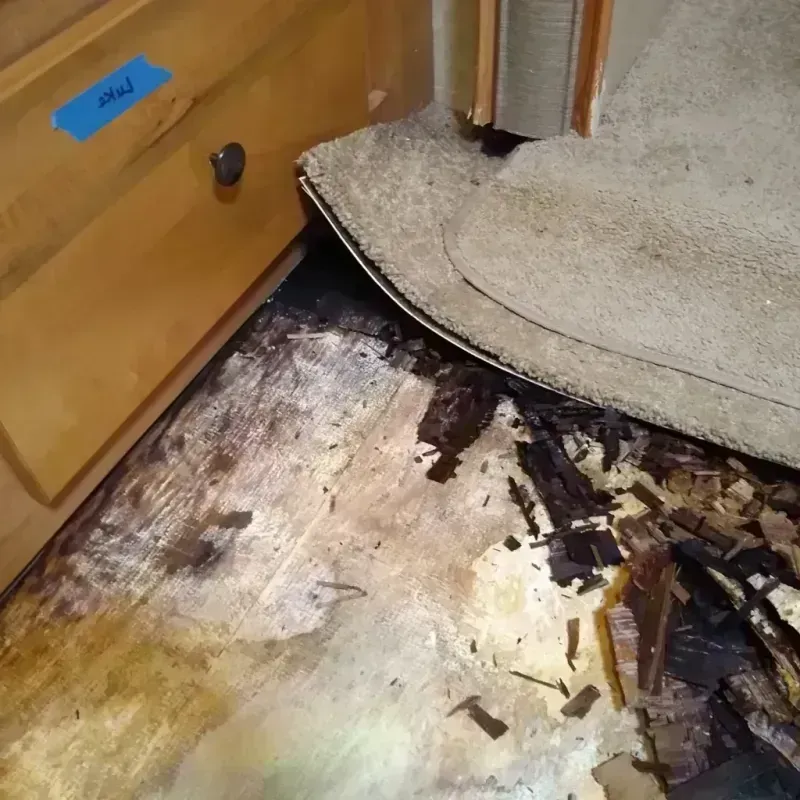 Wood Floor Water Damage in King County, WA